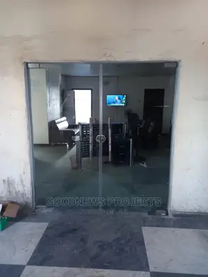 Frameless Tampered Glass Door