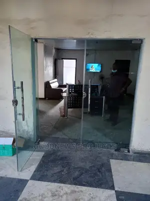Frameless Tampered Glass Door