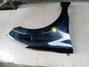 Elantra 2011 Fender