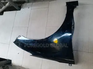 Fender for Hyundai Elantra 2011