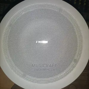 Lucky Pair of 15W Ceiling Speakers