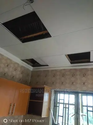 Suspended Ceiling
