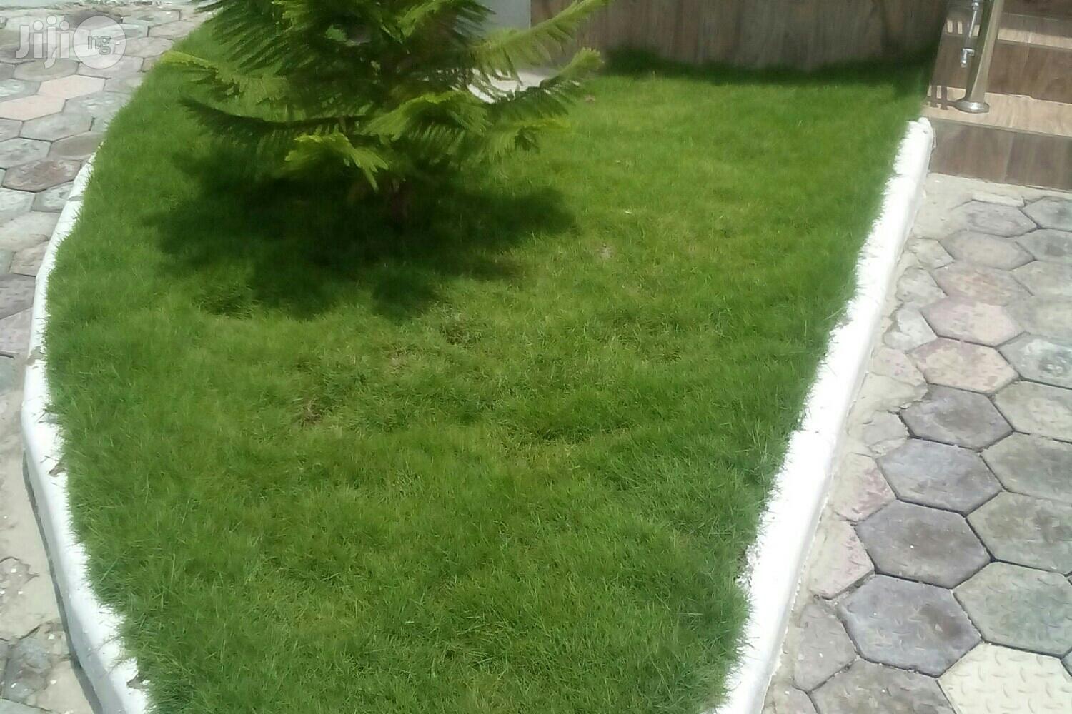Success Flowers and Landscaping Services
