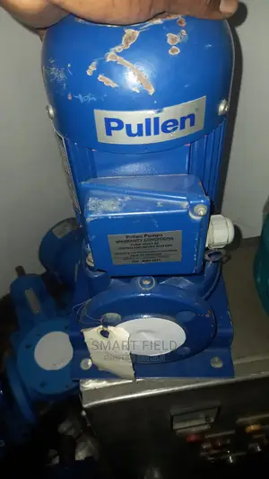Inline Vertical Transfer Pump