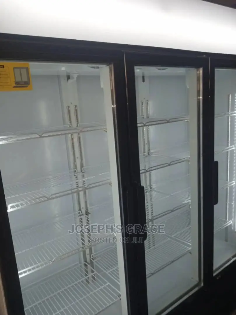 Industrial 3doors Chiller (Germany)