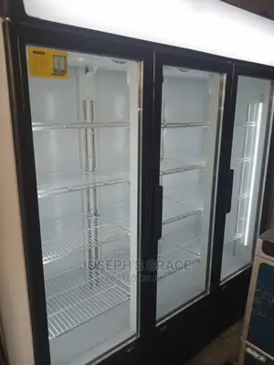Industrial 3doors Chiller (Germany)