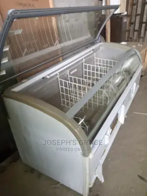 Industrial Ice Freezing Showcase Freezer(UK)