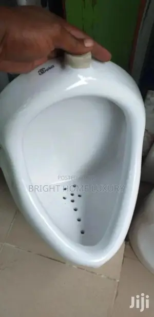 Urinal Bowl