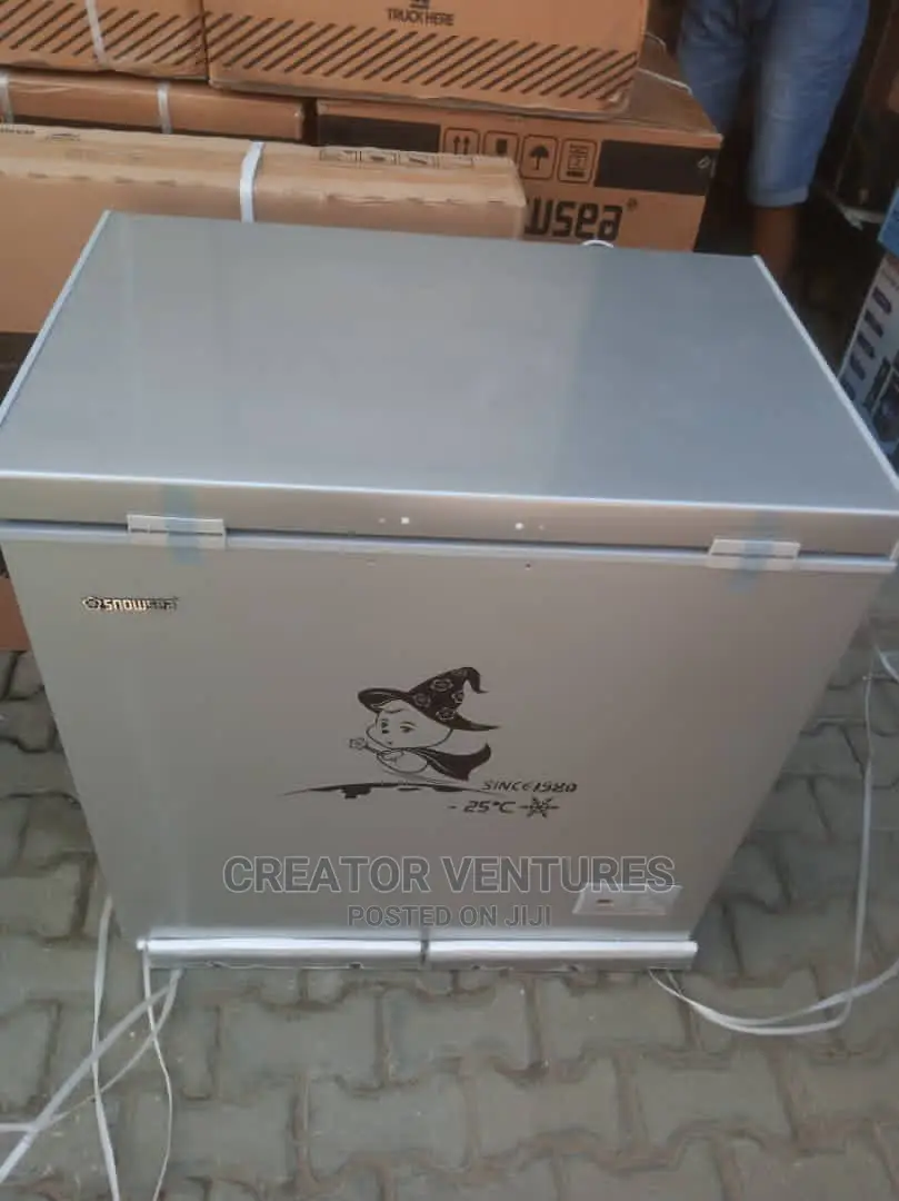 Snowsea Deep Freezer, Anti-Rust Body, Low Voltage
