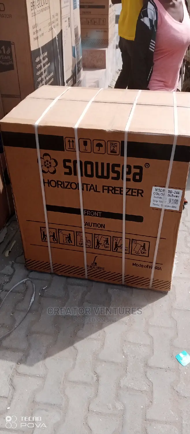 Snowsea Deep Freezer, Anti-Rust Body, Low Voltage