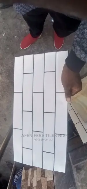 China 25*50 Wall Tiles