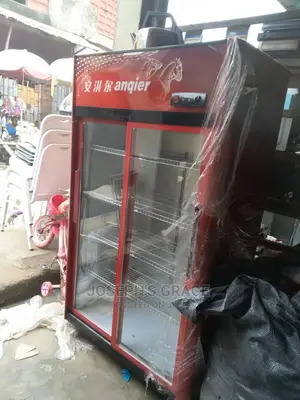Industrial Double Sliding Door Fast Chiller.