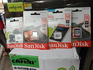 32gb Professional Camera Card