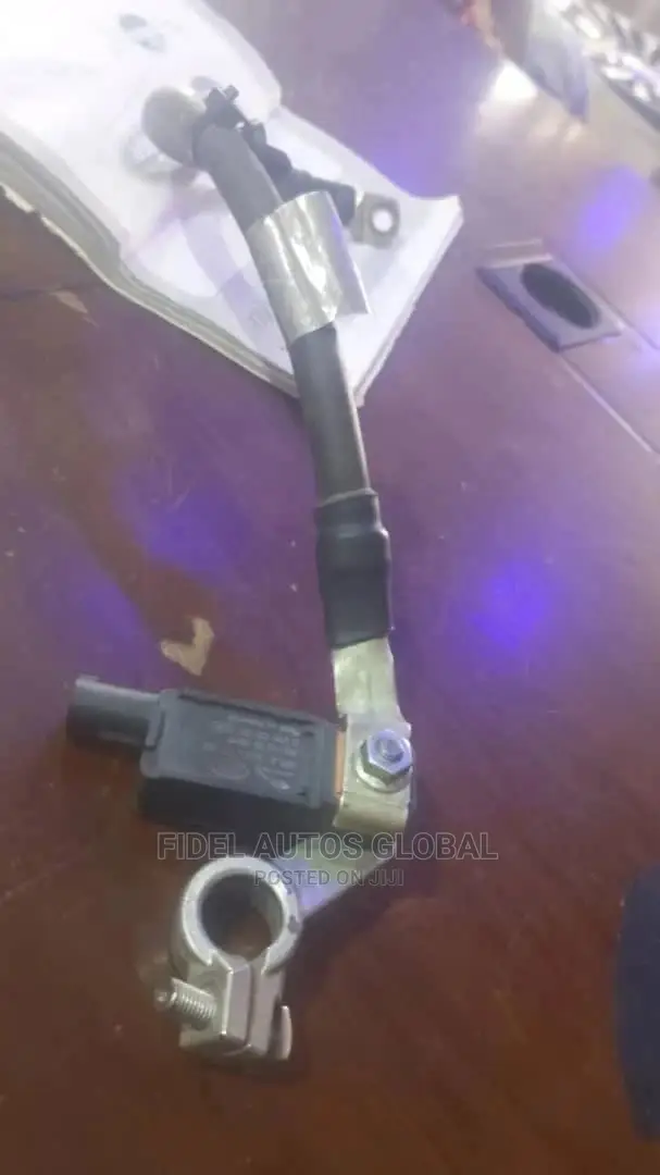Jaguar Battery Module