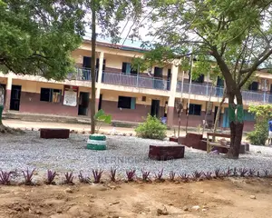 Landscaping And Beautification