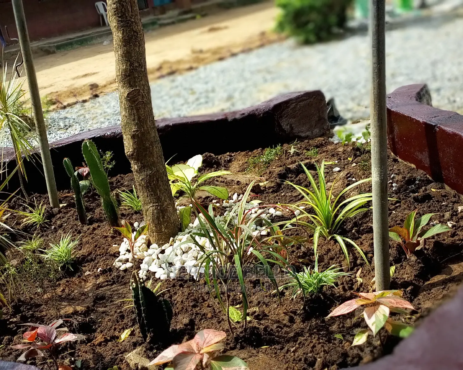Landscaping And Beautification