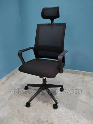 Office/Study Mesh Chair