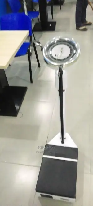 Scale With Height