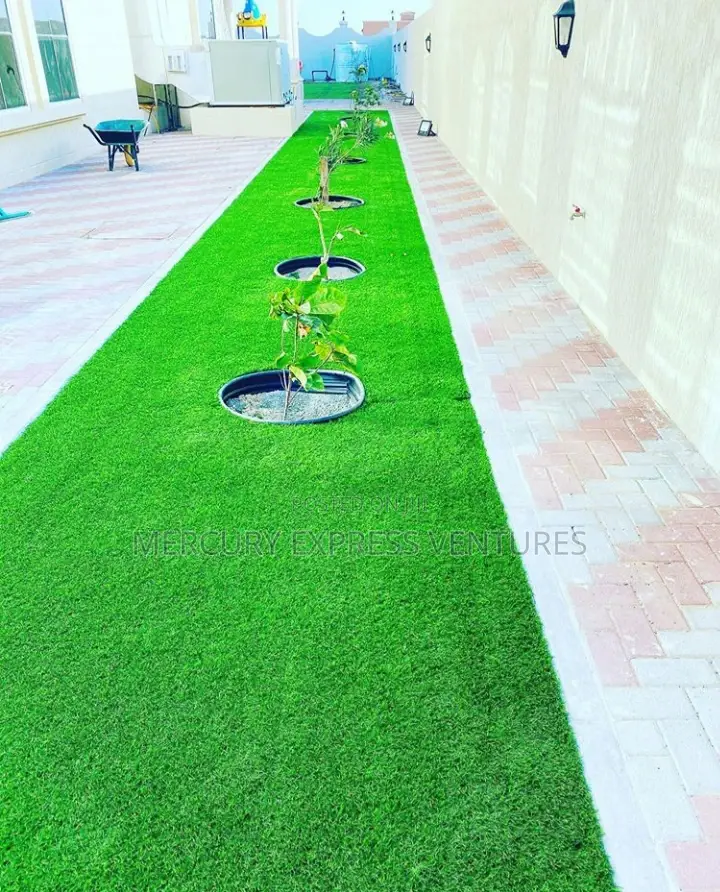 Artificial Grass (Turf)