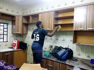 Professional Cleaning Plus Free Fumigation at It's Best