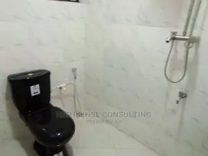 Professional Cleaning With Machines Plus Free Fumigation