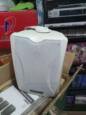 Wall Speakers for School and Hospital