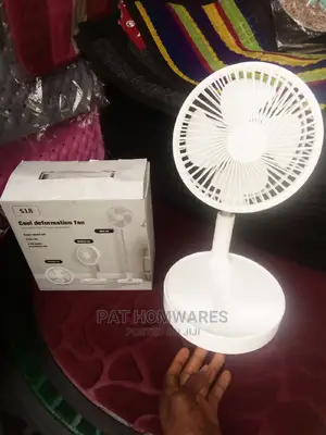Portable Folding Fan
