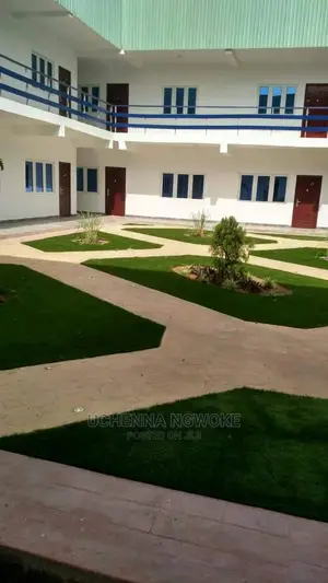 25mm Green Grass Carpet