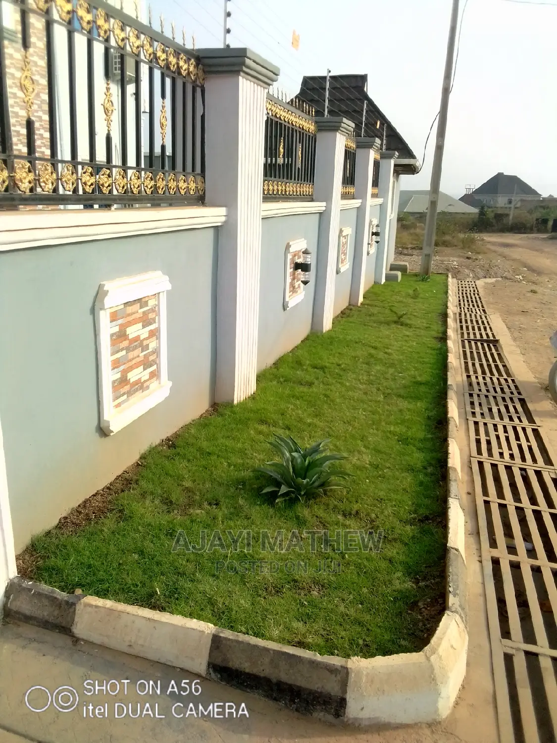 Flowers, Grass,Palms and Trees