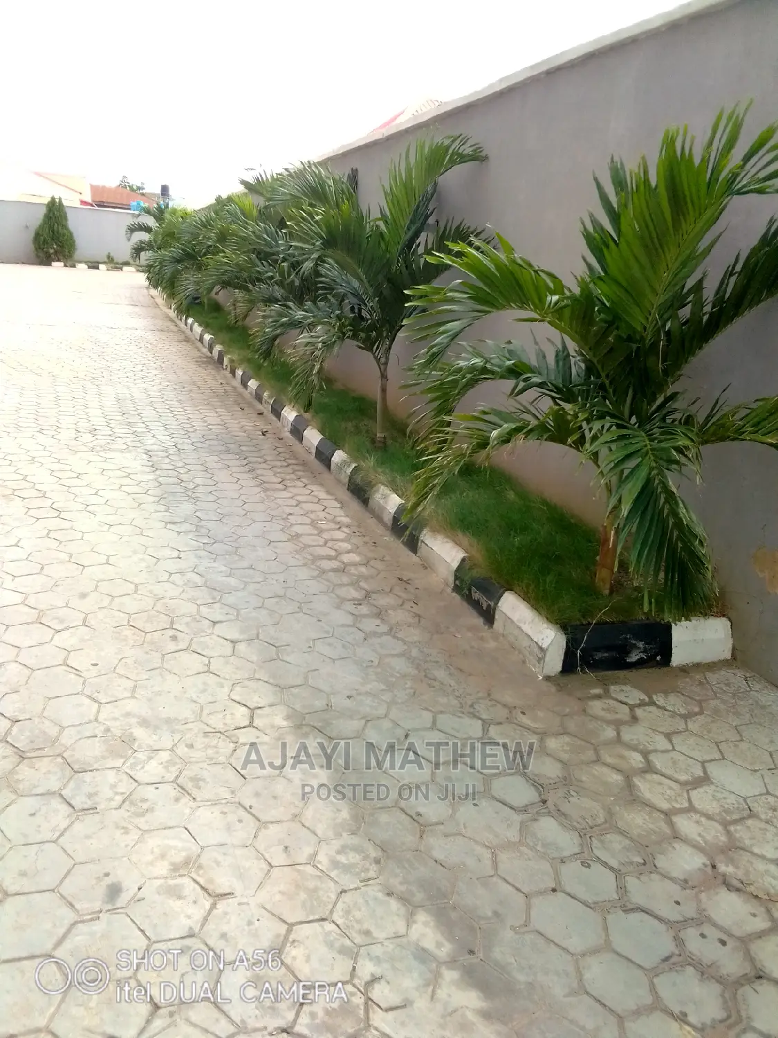 Flowers, Grass,Palms and Trees