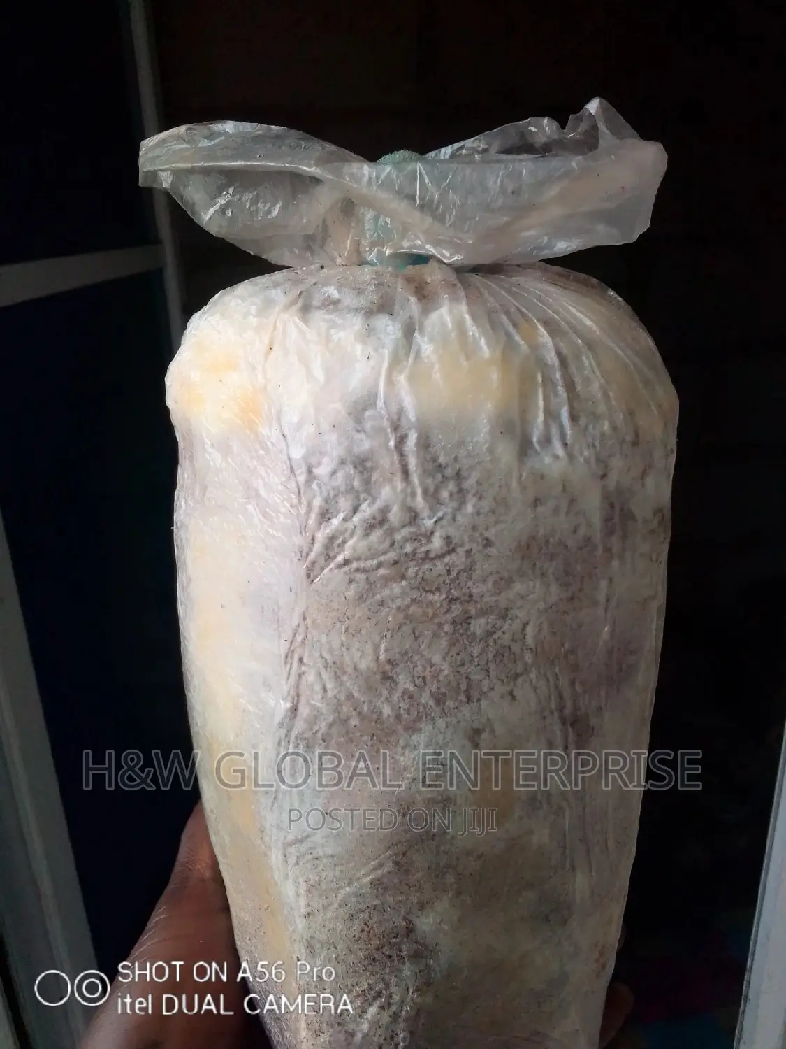 Mushroom Substrate