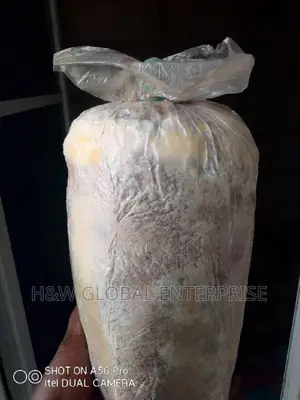Mushroom Substrate