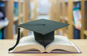 Bsc, Msc/Mba, PHD Project and Data Analysis