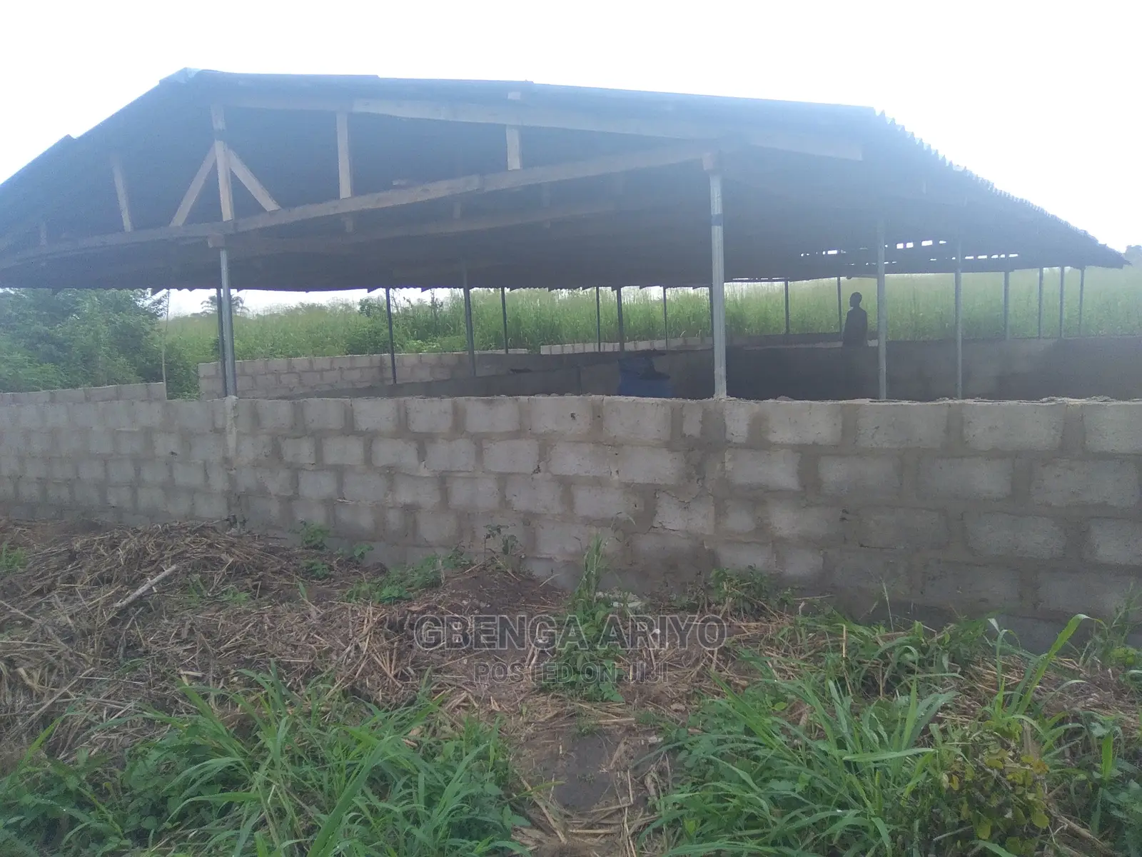 Agric-business Consultation