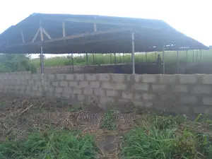 Agric-business Consultation