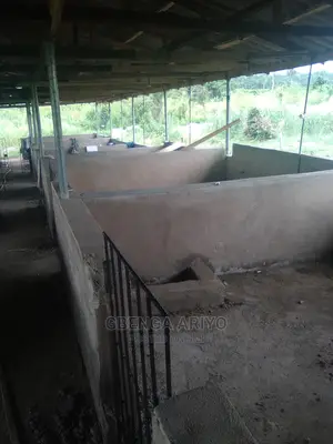 Agric-business Consultation
