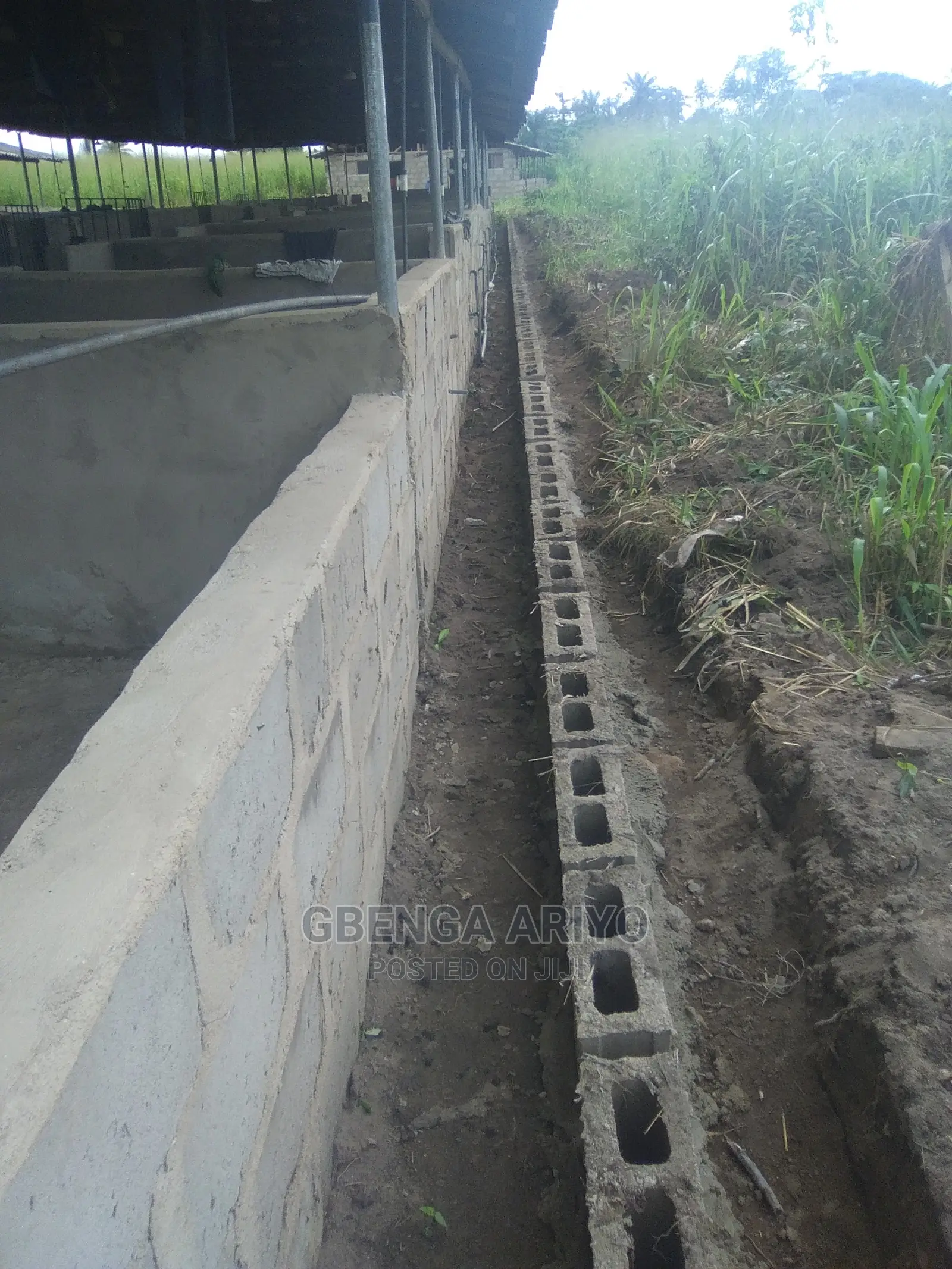 Agric-business Consultation