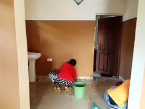 Top Professional Cleaning That Keeps You So Surprised