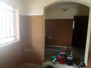 Professional House Window Cleaning Plus Free Fumigation