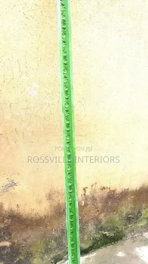 P.O.P Molds / Wall Sketching / Molud