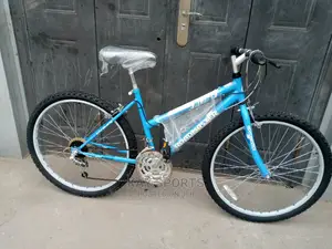 Roadmaster Teenager Sport Bicycle
