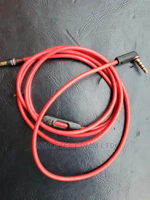 Auxiliary Cable With Mic