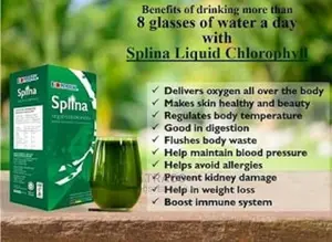 Edmark Splina Liquid Chlorophyll - 500ml