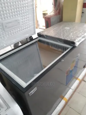 Polystar Doubled Door Freezer