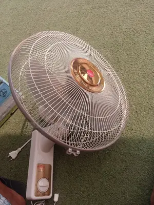 Tmt Wall Fan