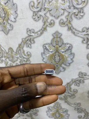 Usb C Female To Usb Male Adapter