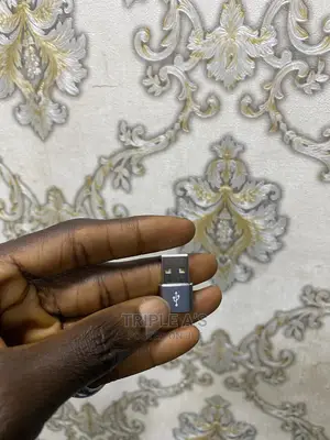 Usb C Female To Usb Male Adapter