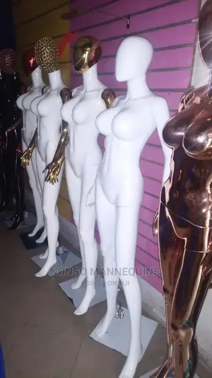 Size 10 Female Arcylic, Chrome Mannequins of Different Colou