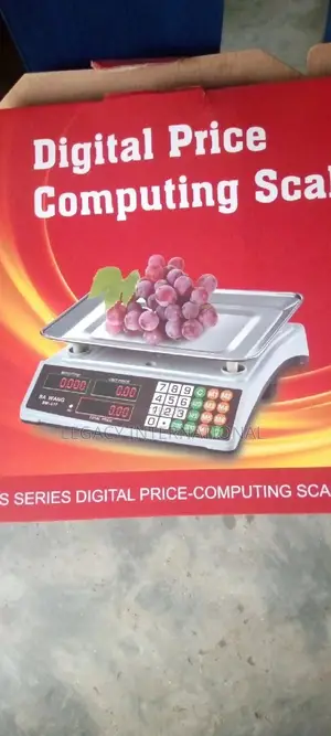30kg Scale