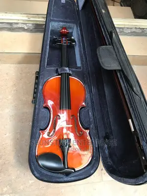 Roweller Professional 4/4 Violin